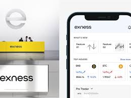 Explore the Benefits of Exness Web Platform Explore the Benefits of Exness Web Platform