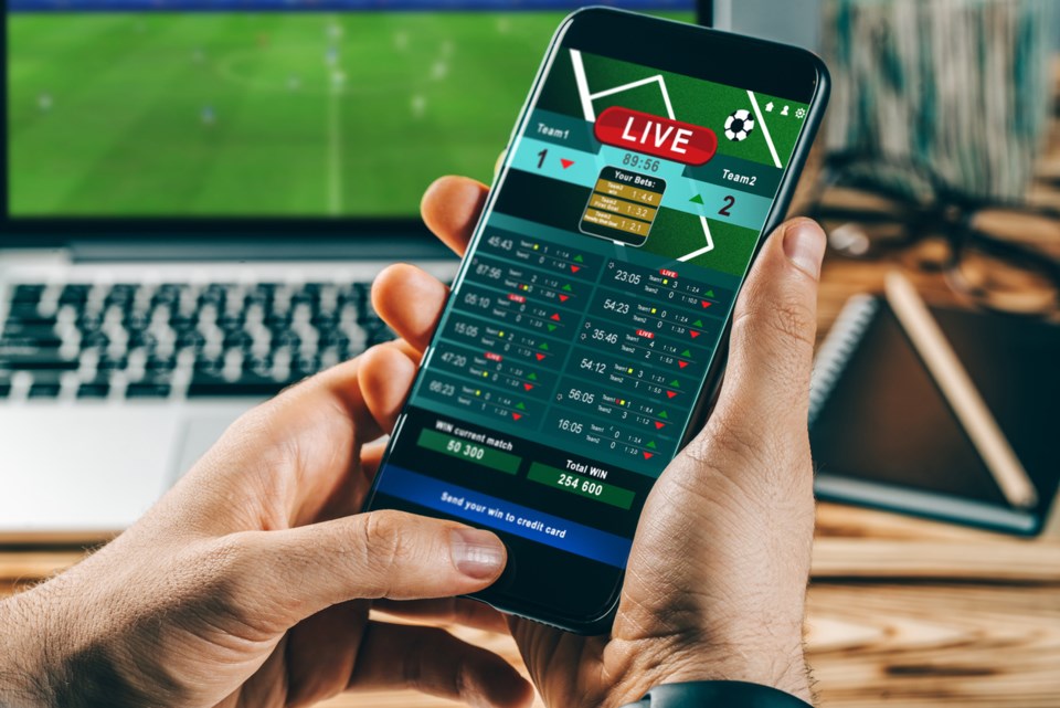Expert Betting Tips for Horse Racing to Boost Your Odds Expert Betting Tips for Horse Racing to Boost Your Odds