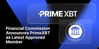Comprehensive Guide to PrimeXBT Online Trading